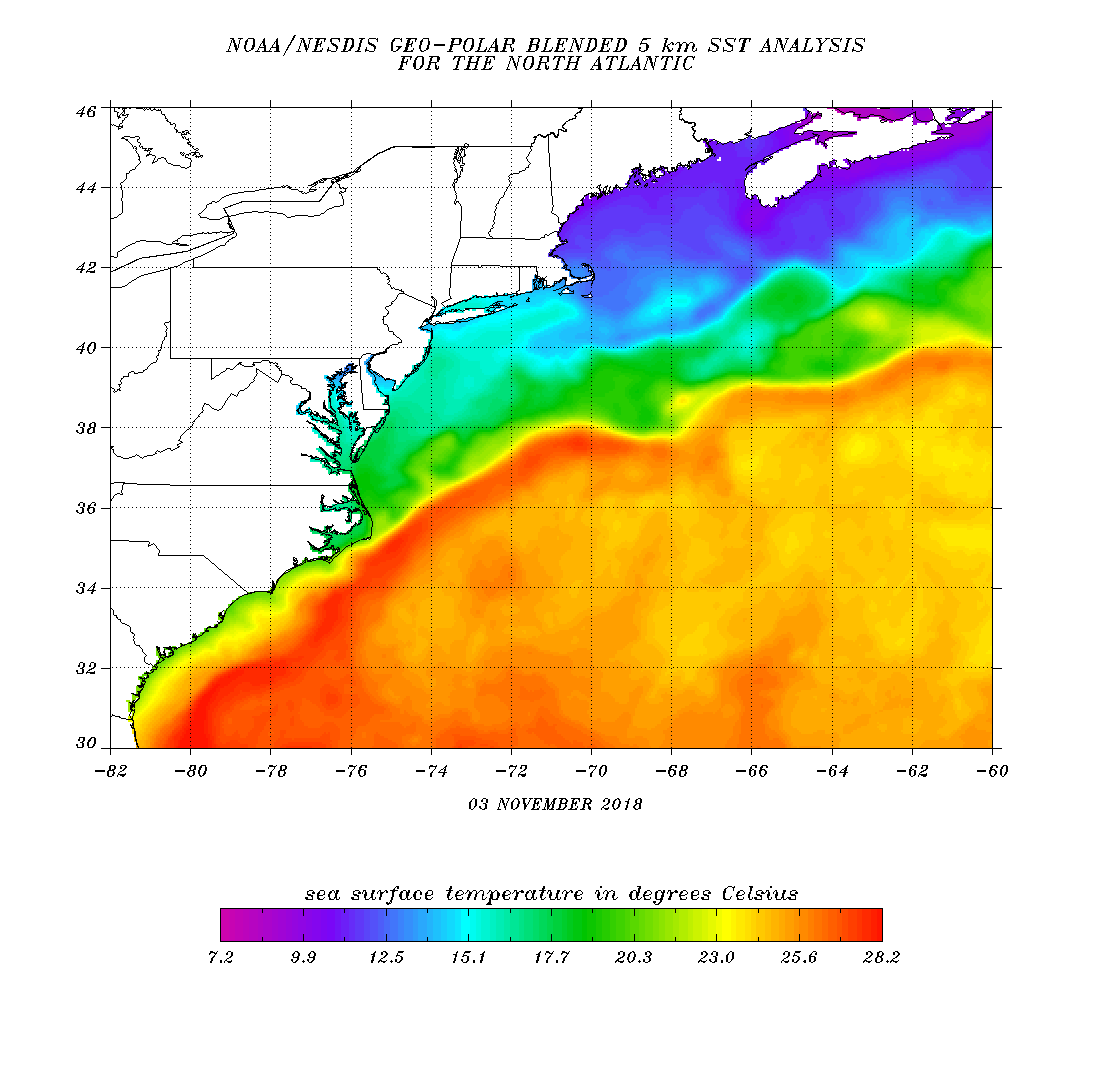 Current Sea Surface Temps.gif